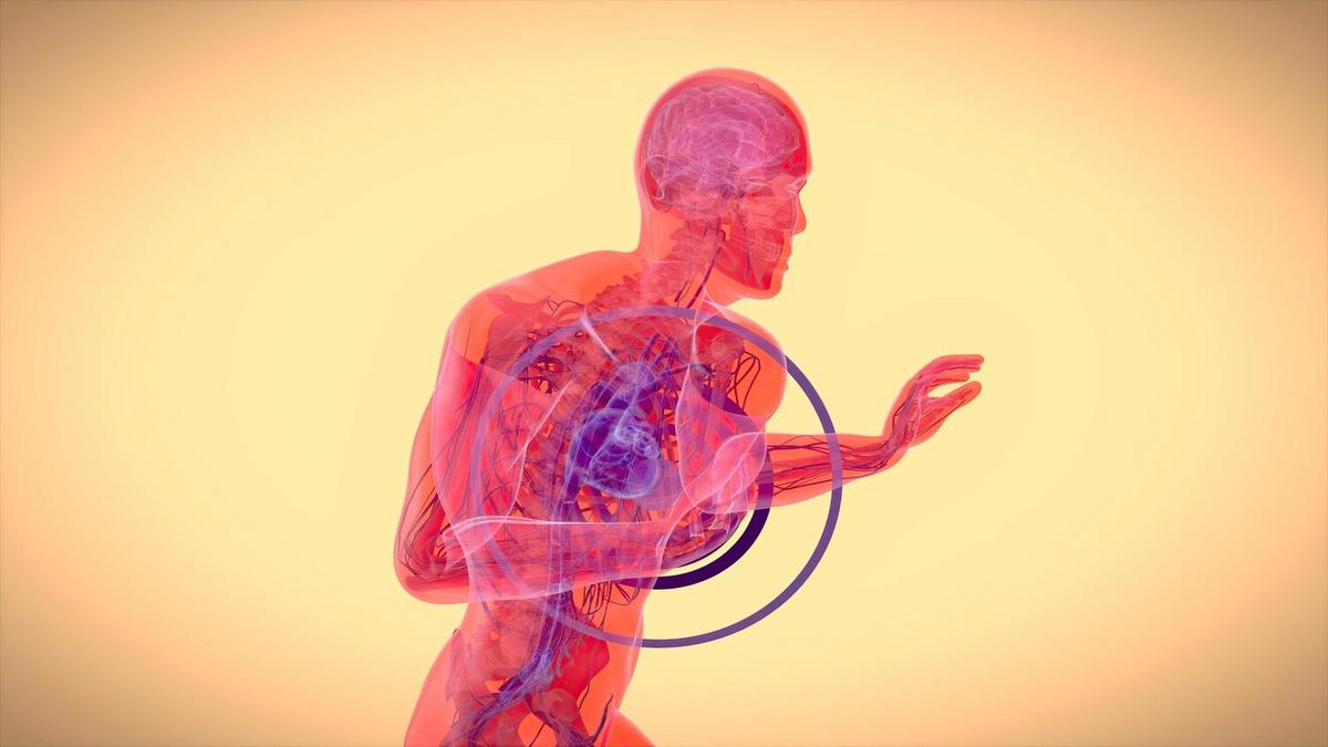 The Connection Between Gut Health and Mental Health