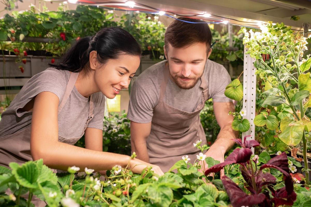 Sustainable Gardening: Growing Your Own Organic Vegetables